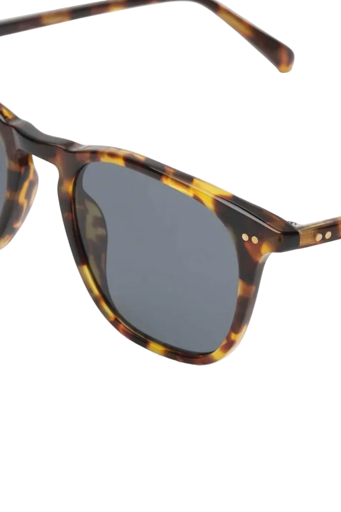 Diff Maxwell Polarized Sunglasess in Amber Tortoise/Grey close up