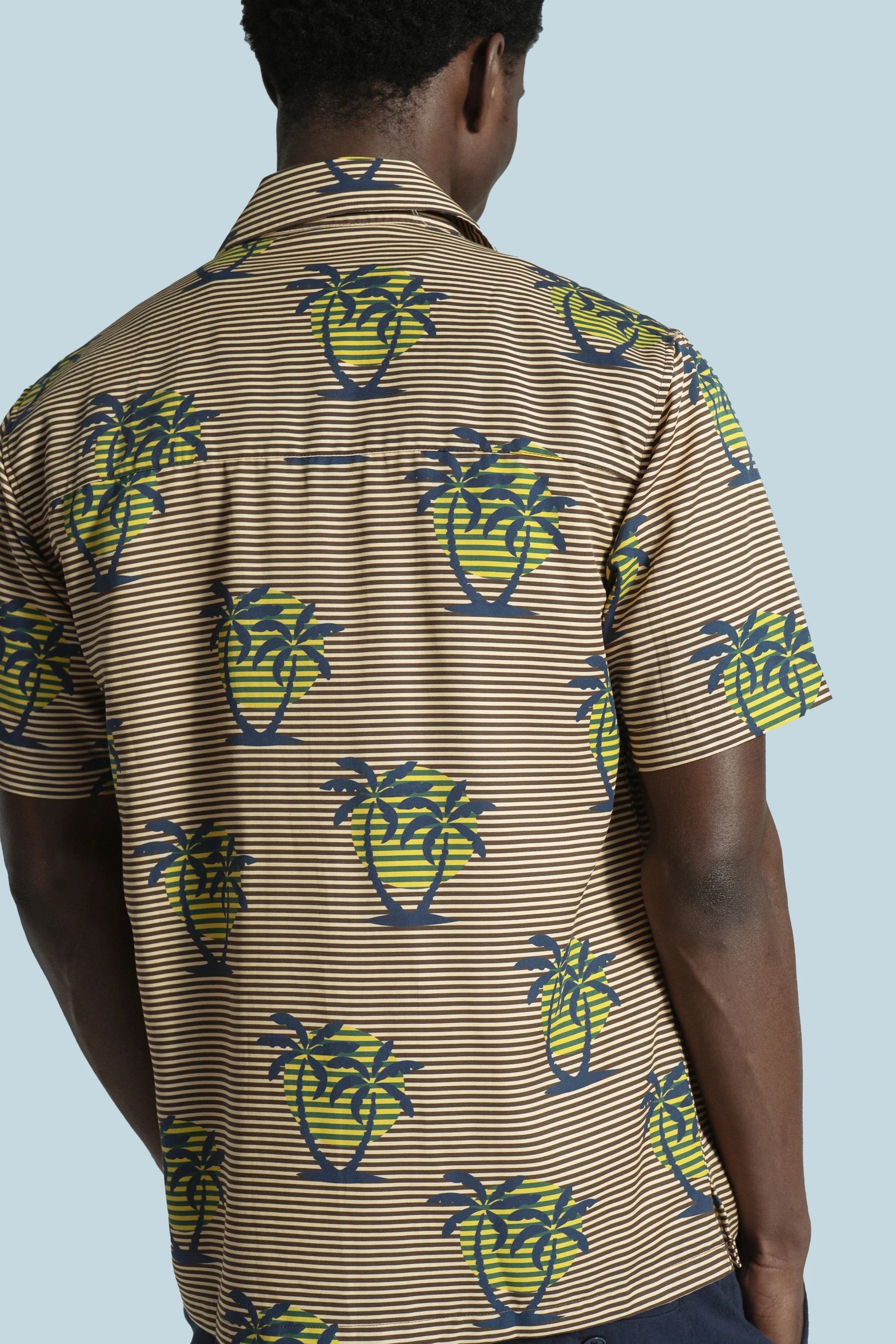 Far Afield Busey GoldenP alms Stripe Shirt back fit