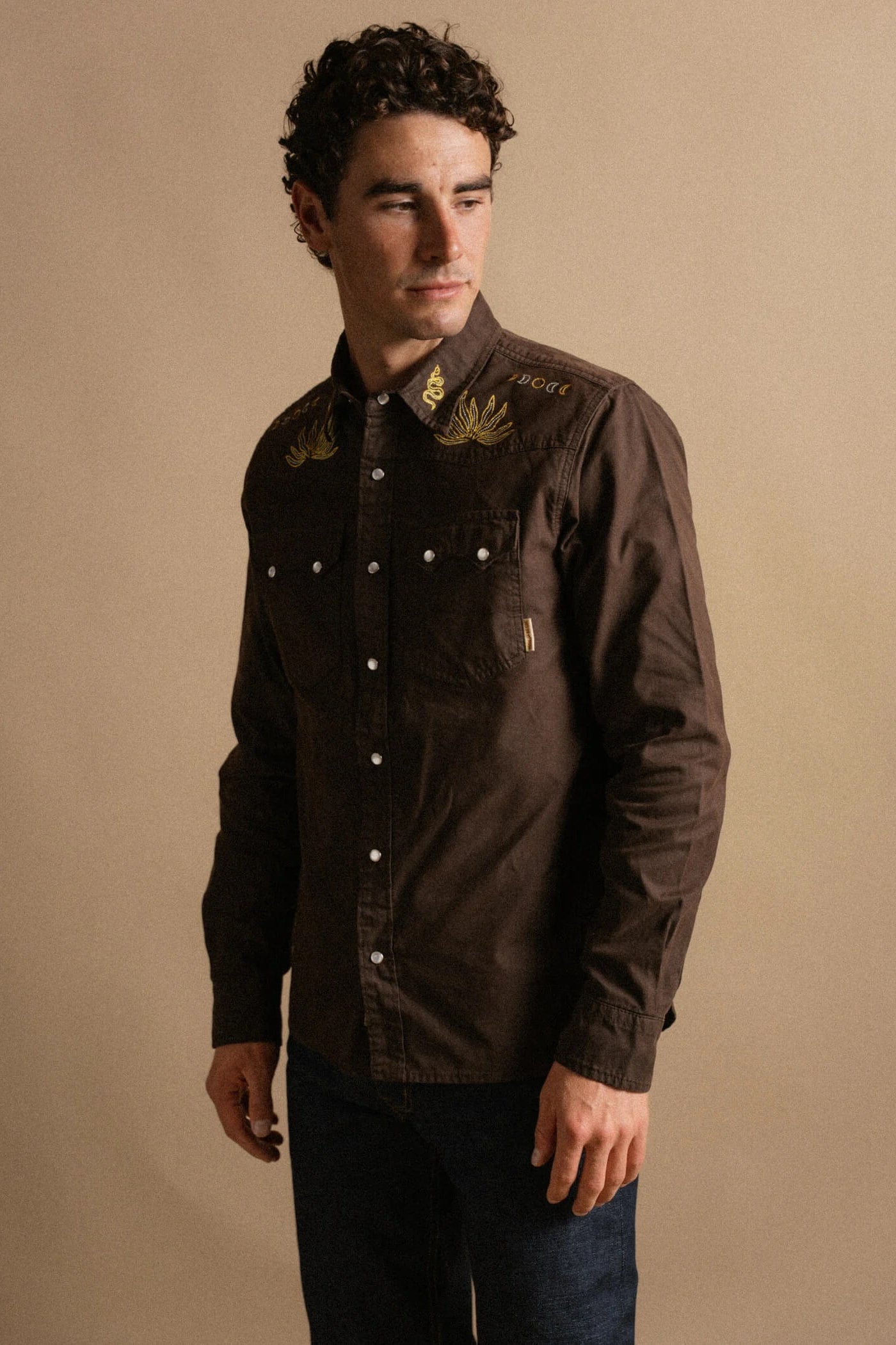 Iron & Resin Badlands Shirt in Brown