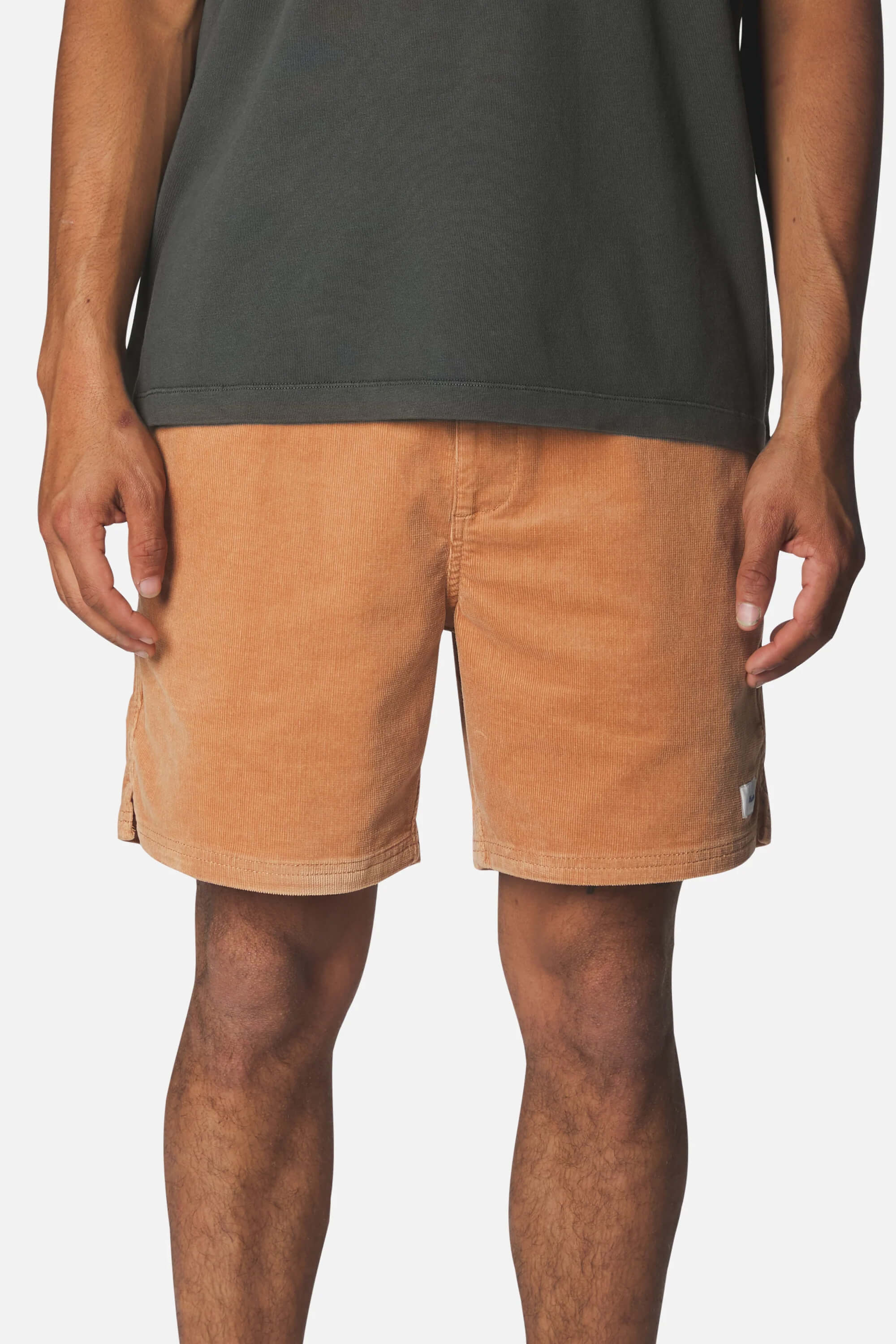 Katin Cord Local Short in brush