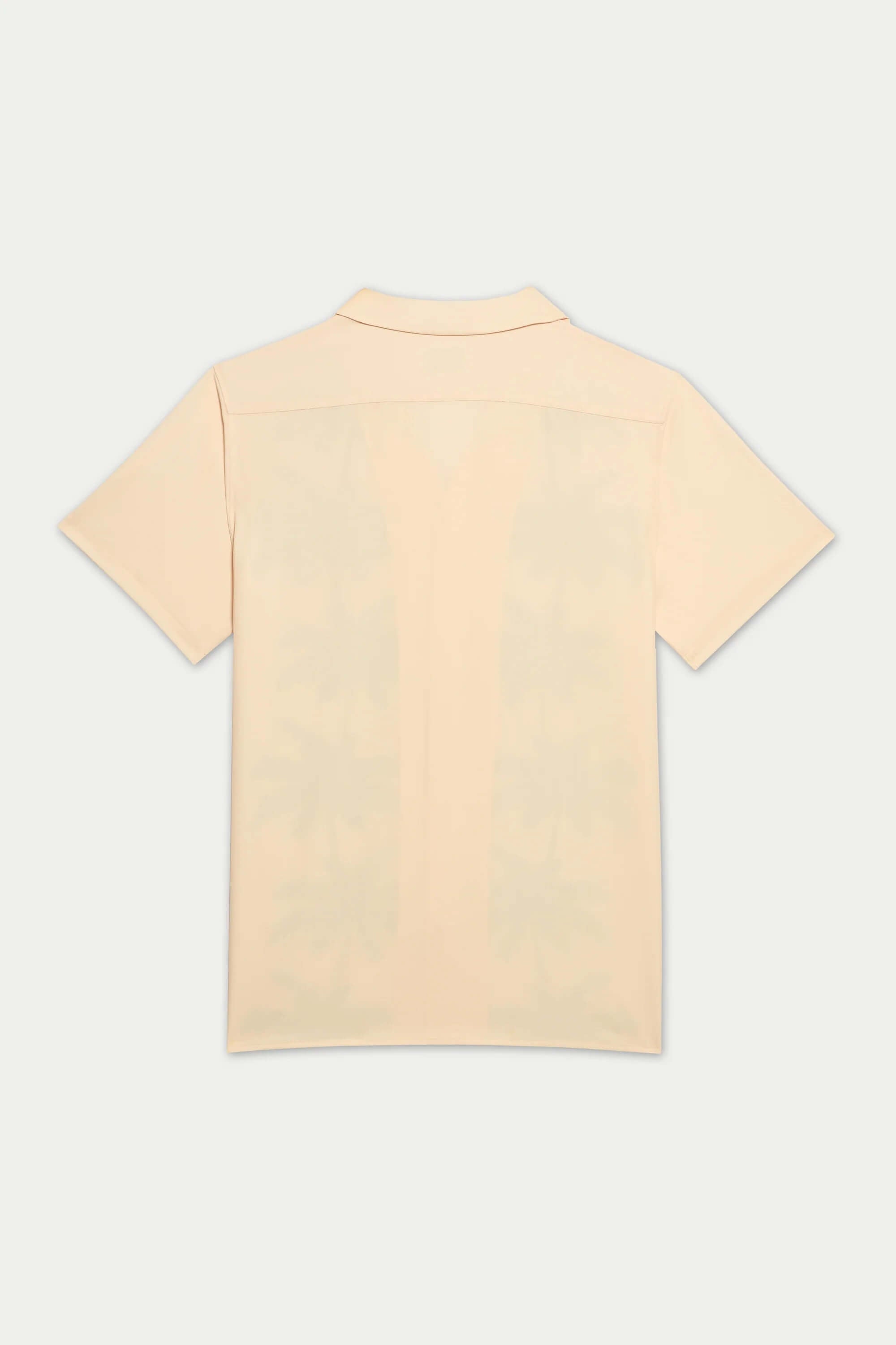 Mavrans Palm Row Weekend Shirt back
