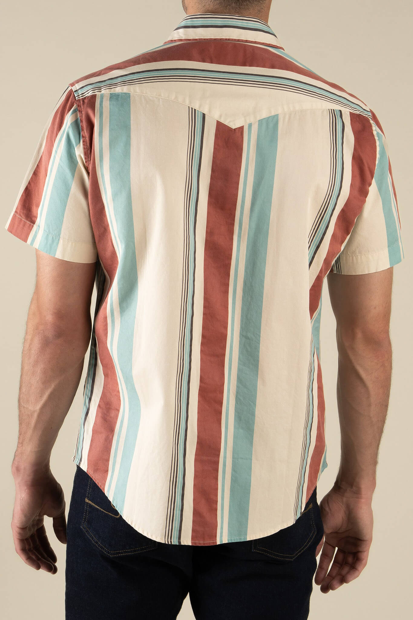 Sendero Wyatt Shirt in stagecoach stripe back
