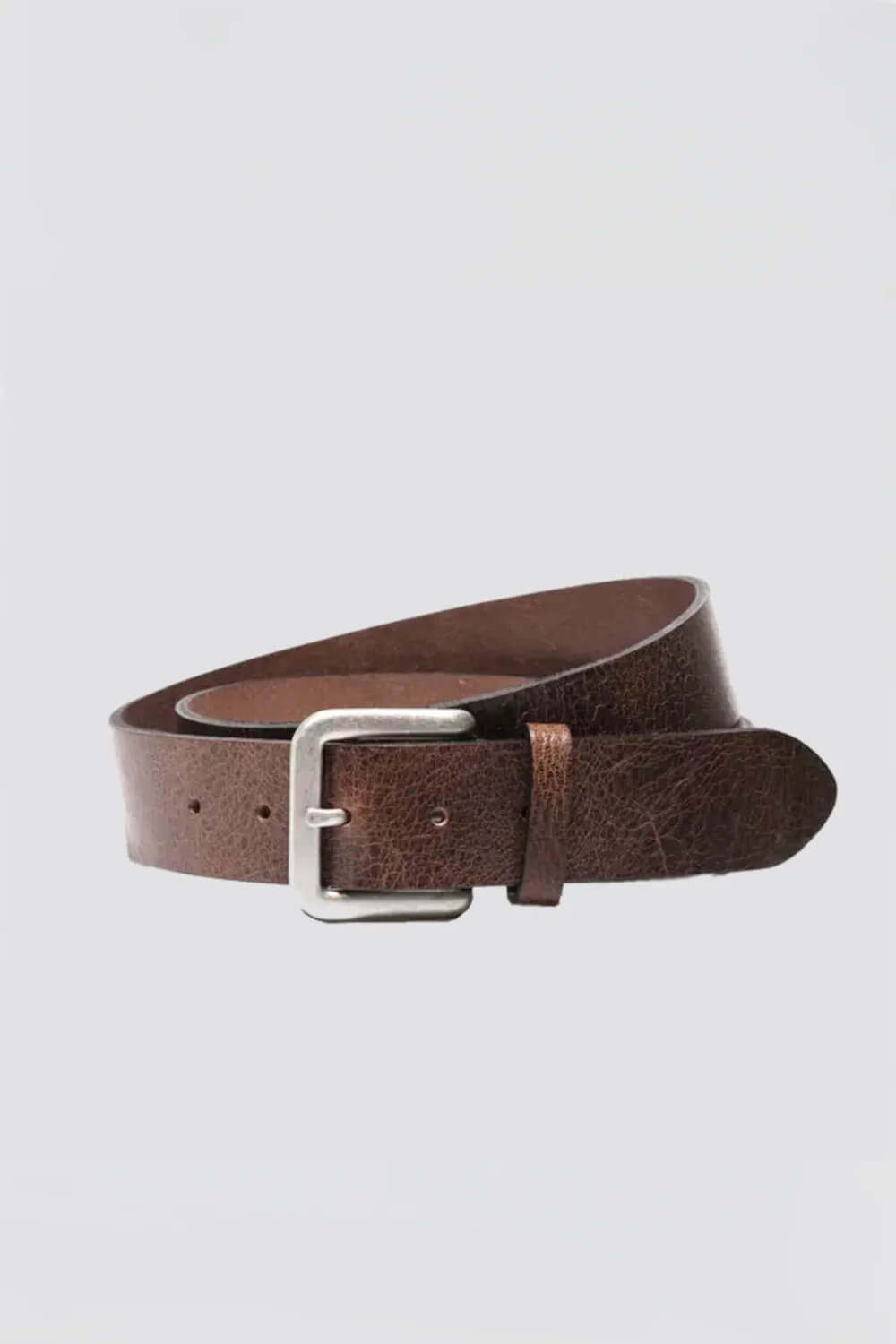 Curated Basics Wide Steel Buckle Leather Belt in Dark Brown