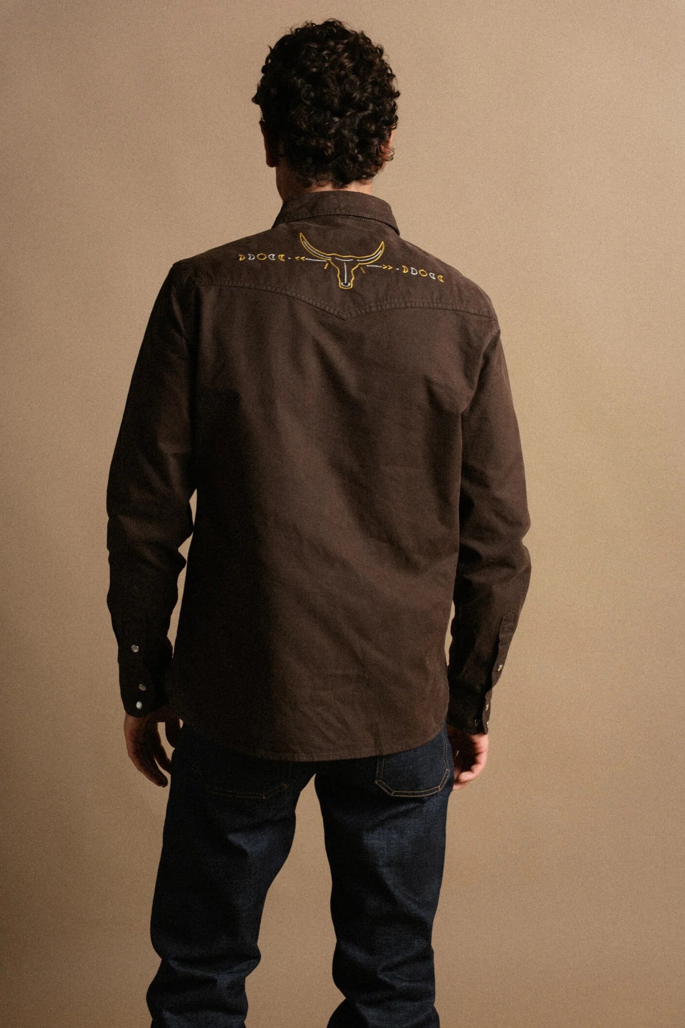 Iron & Resin Badlands Shirt in Brown back fit