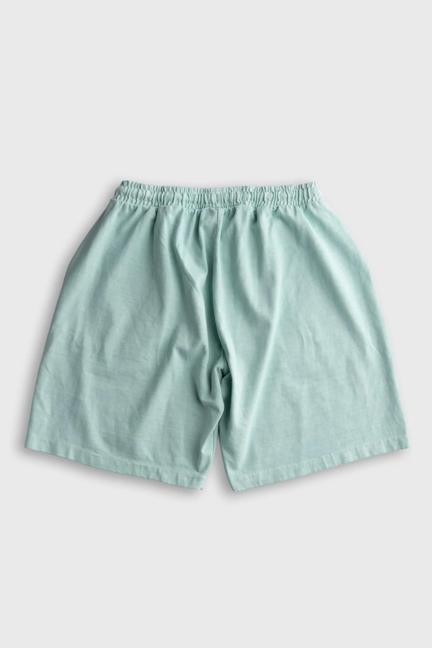 Iron & Resin Heavy Hightide Short in Aqua back